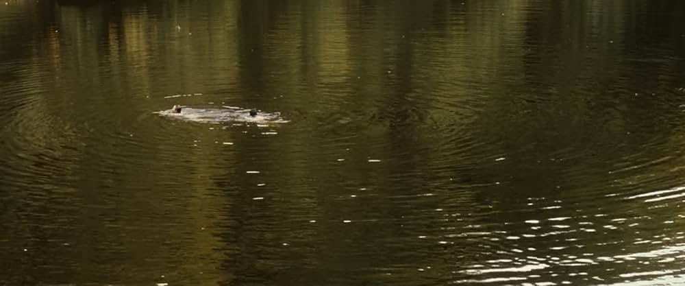 サマー〜あの夏の記憶〜／最高のふたりの画像