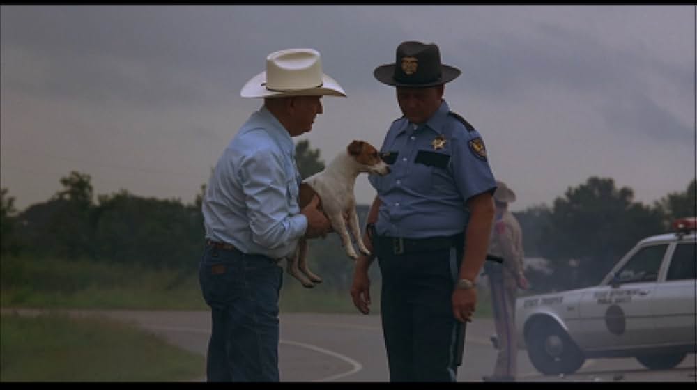 The Apostle（原題）の画像