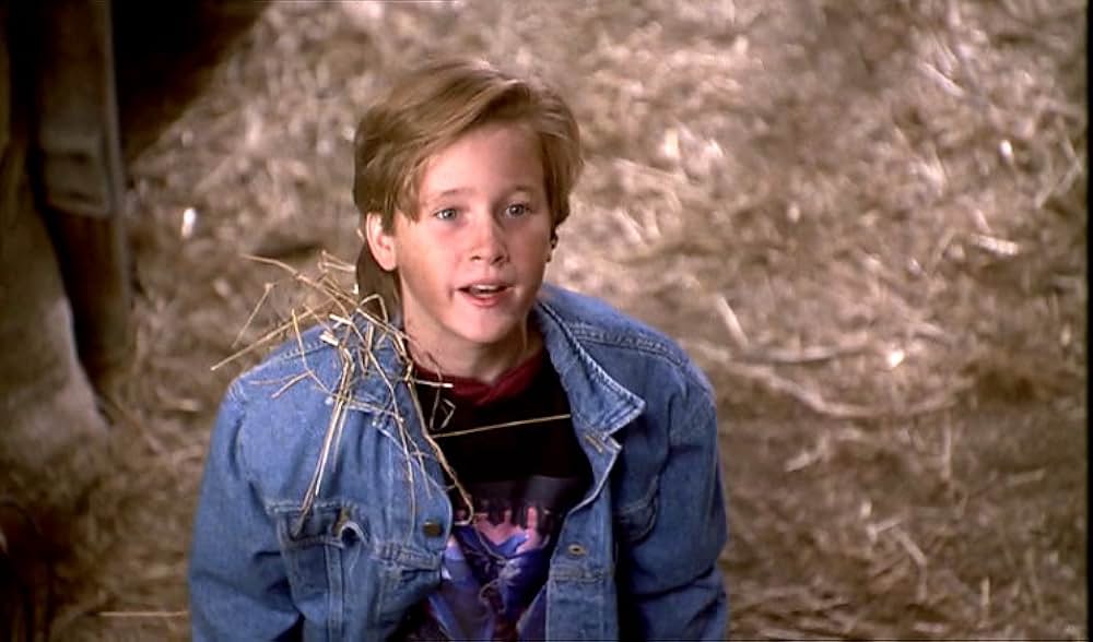 名犬ラッシーの画像