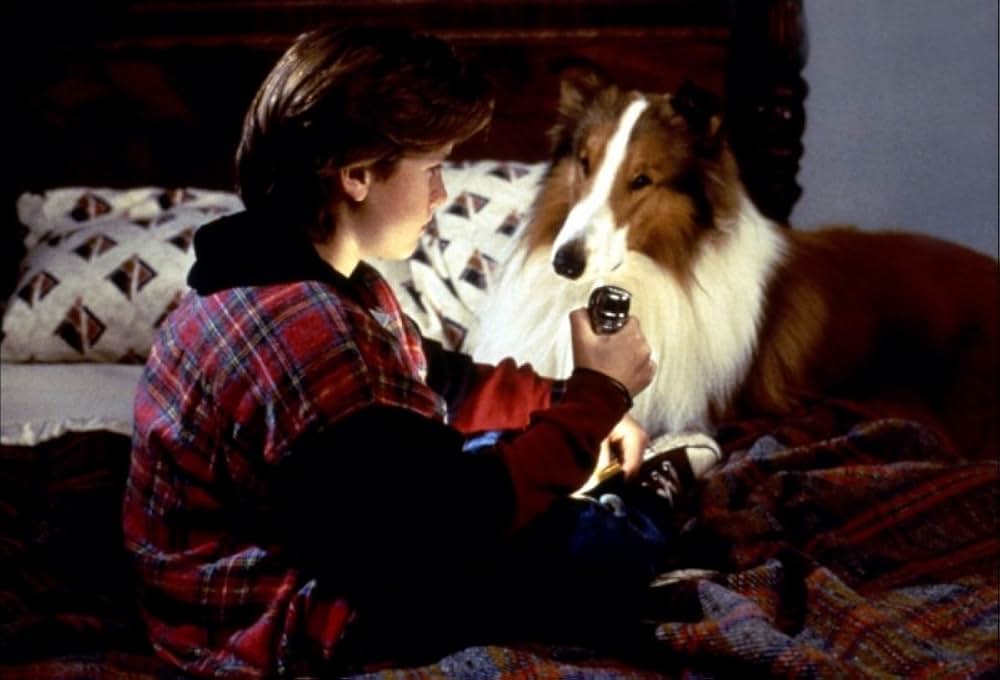 名犬ラッシーの画像