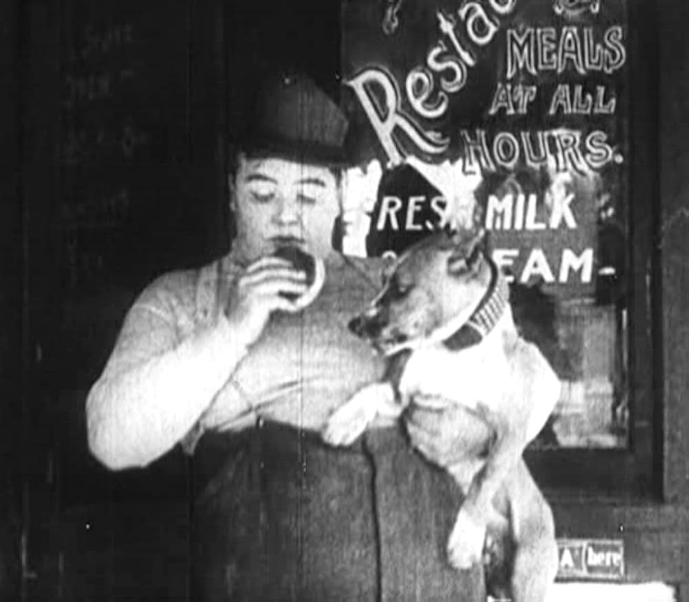 ノックアウトの画像