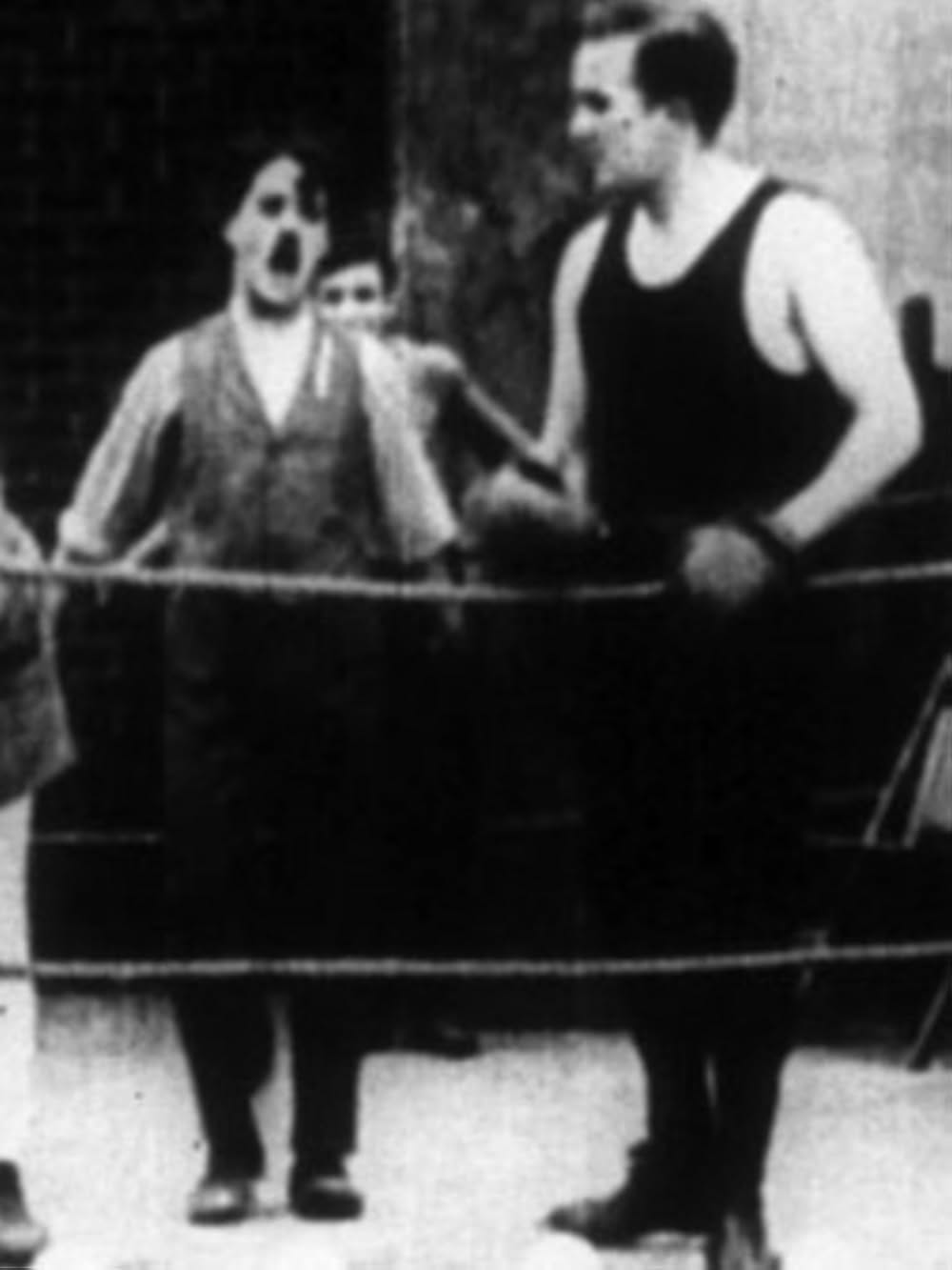 ノックアウトの画像