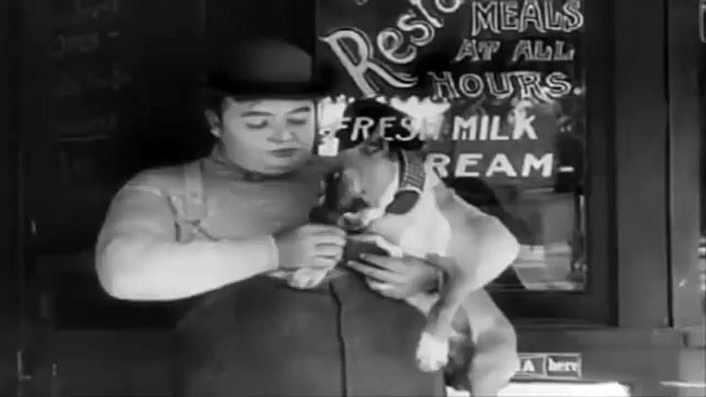 ノックアウトの画像