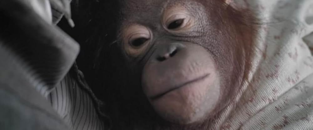 クリエイション ダーウィンの幻想の画像