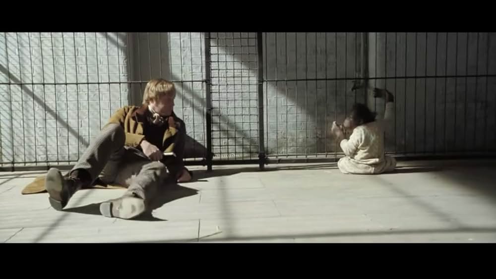 クリエイション ダーウィンの幻想の画像