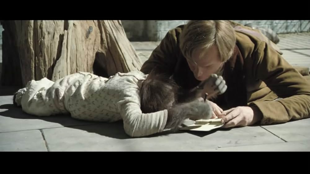 クリエイション ダーウィンの幻想の画像