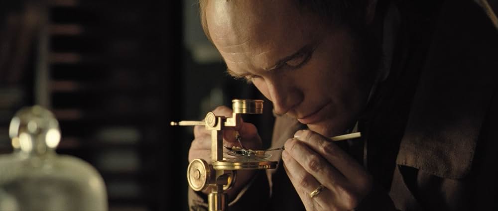 クリエイション ダーウィンの幻想の画像