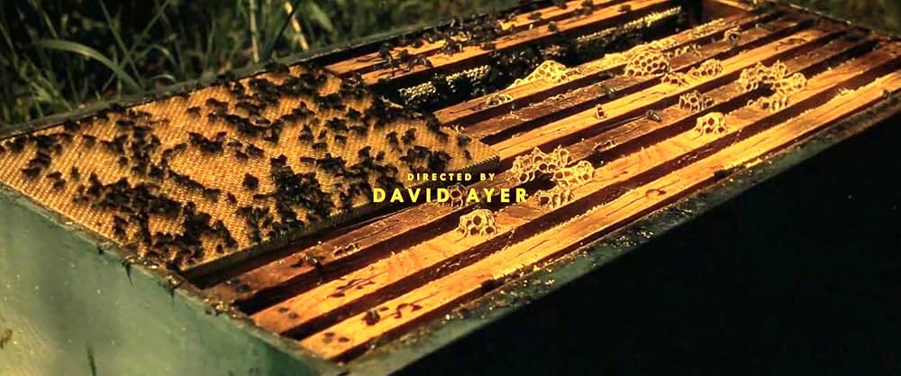 ビーキーパーの画像