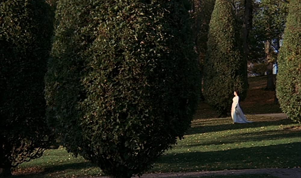 叫びとささやきの画像