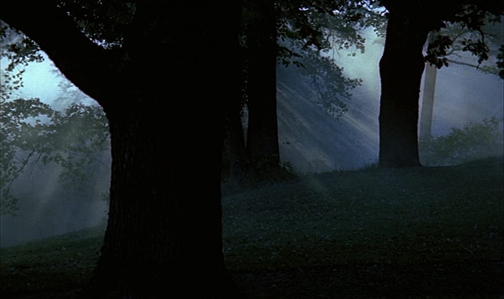 叫びとささやきの画像