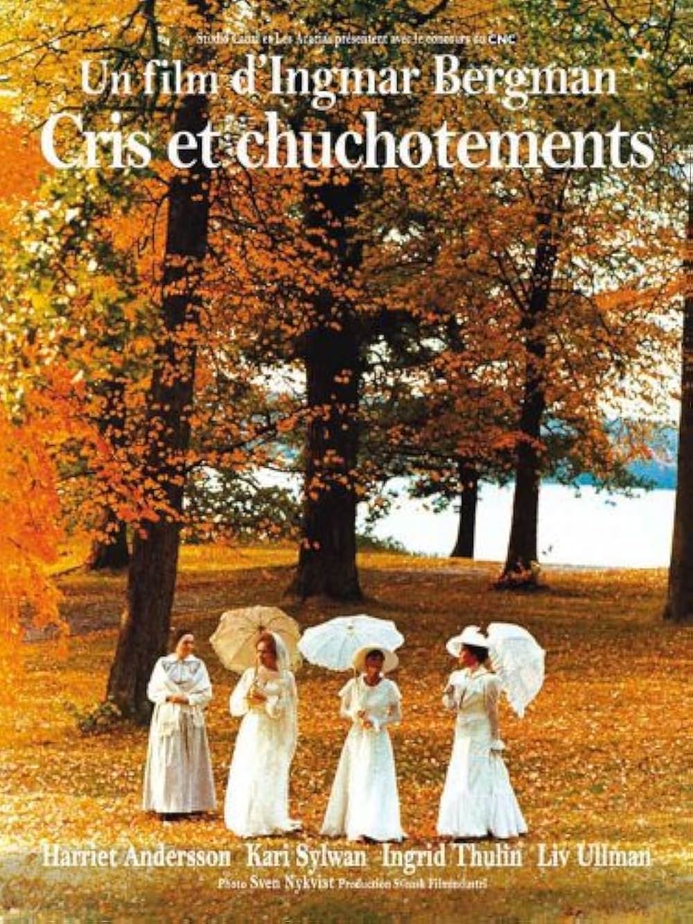 叫びとささやきの画像