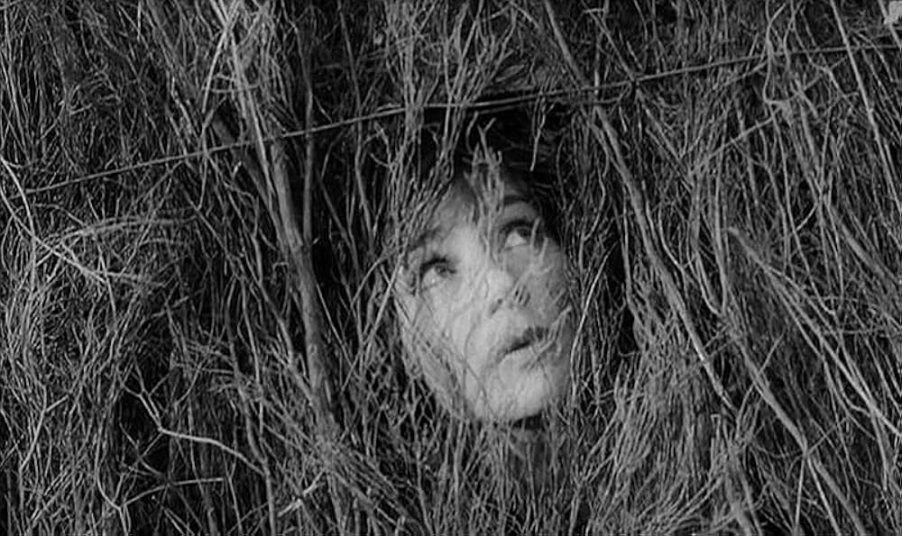 テレーズ・デスケルウの画像