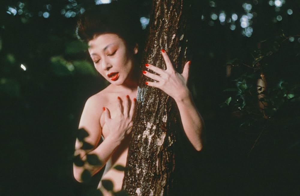 軽井沢夫人の写真