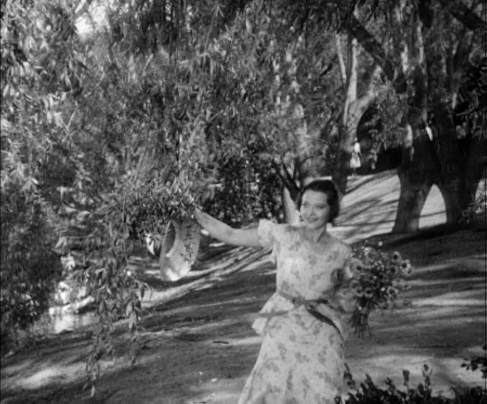 アメリカの悲劇の画像