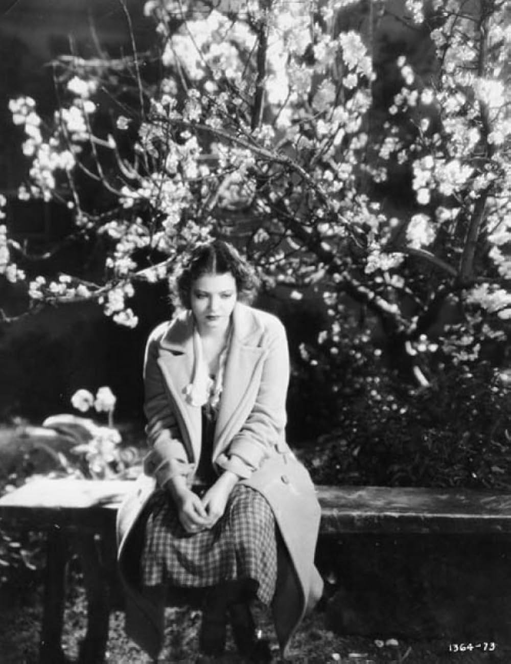 アメリカの悲劇の画像