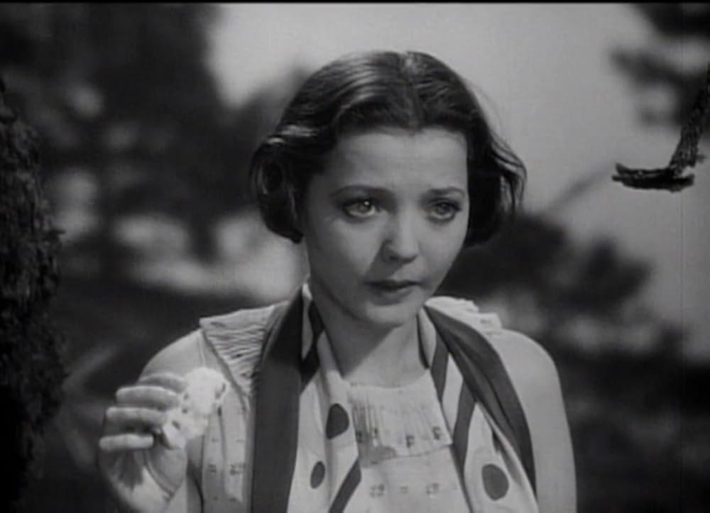 アメリカの悲劇の画像