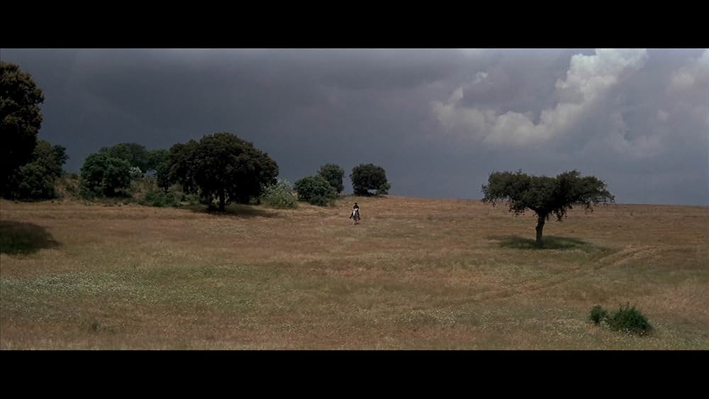 カスター将軍の画像