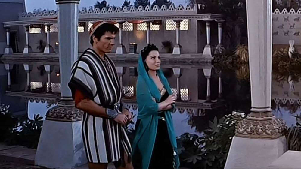 砂漠の女王の画像