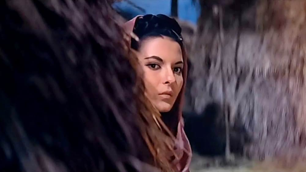 砂漠の女王の画像