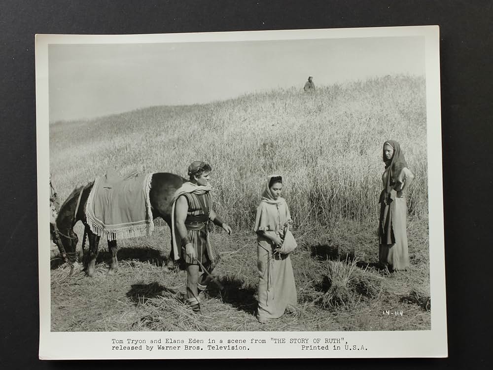 砂漠の女王の画像