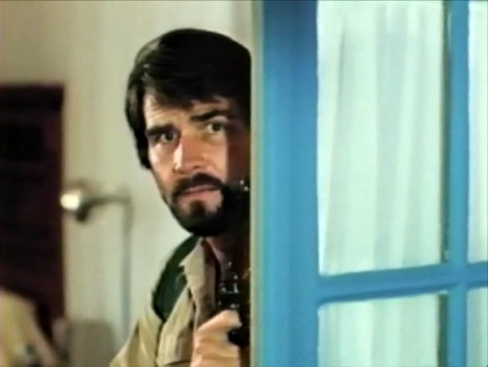 ダーティー・ソルジャー／野良犬軍団の画像