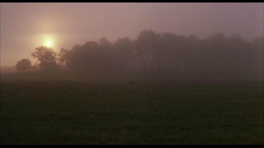 クロスクリークの画像