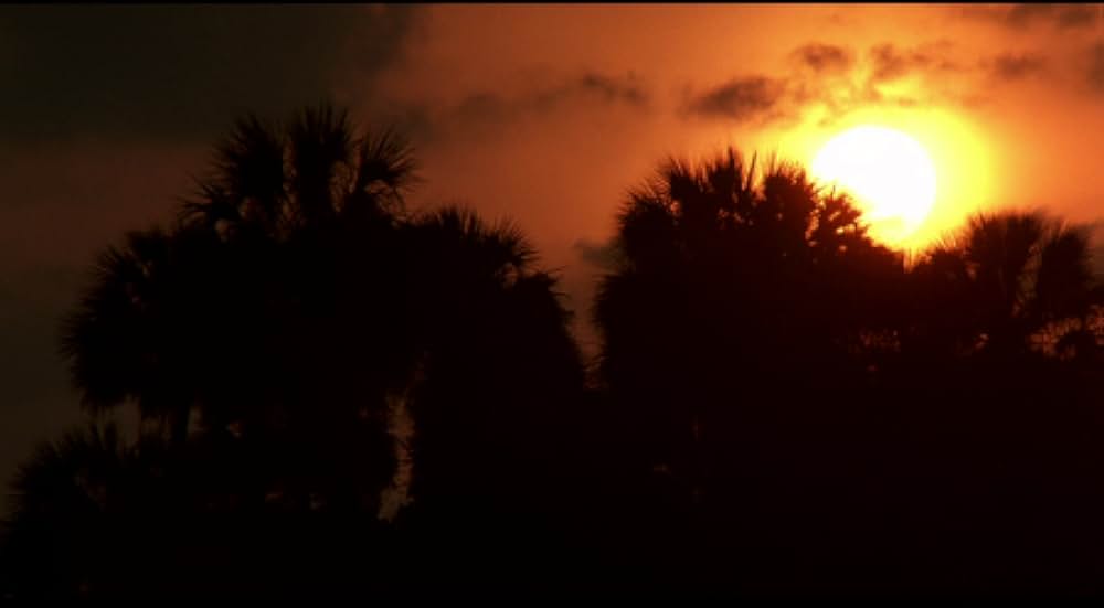 クロスクリークの画像