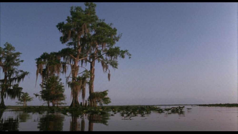 クロスクリークの画像