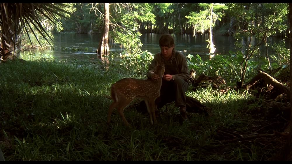 クロスクリークの画像