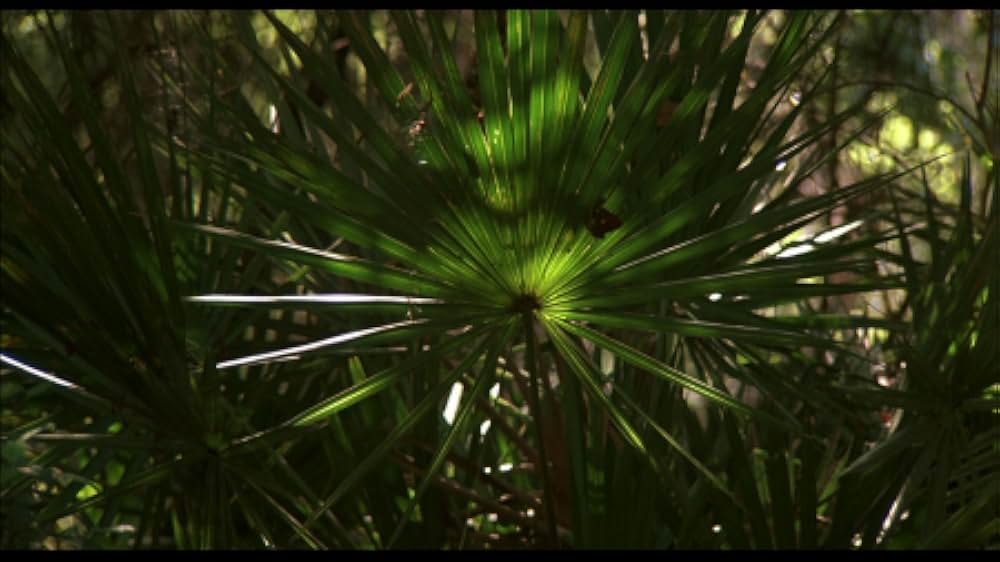 クロスクリークの画像