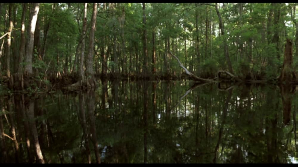 クロスクリークの画像