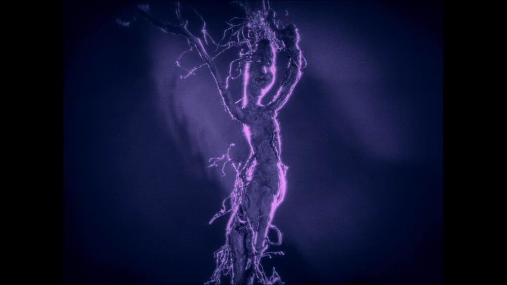 妖花アラウネの画像