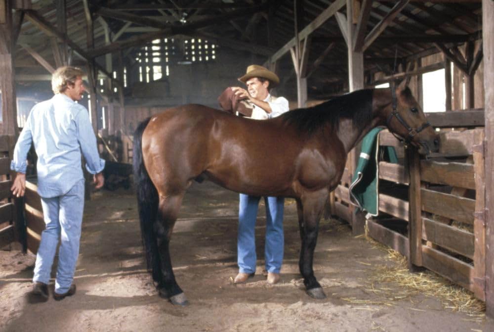 マーフィのロマンスの画像