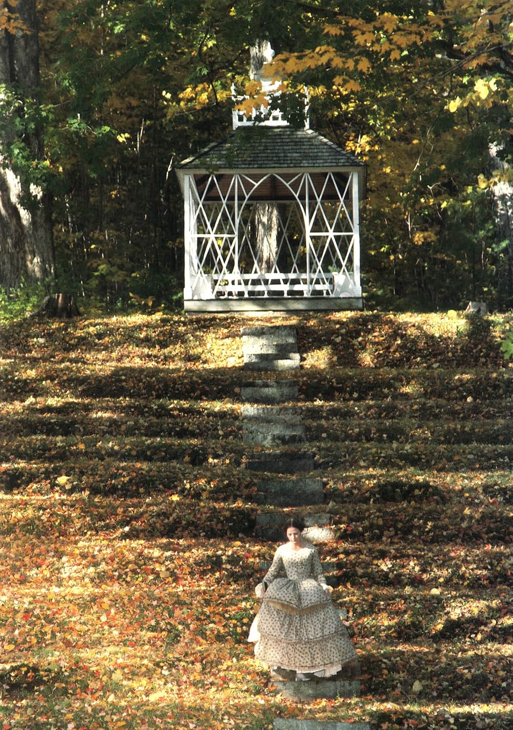 ヨーロピアンズの画像