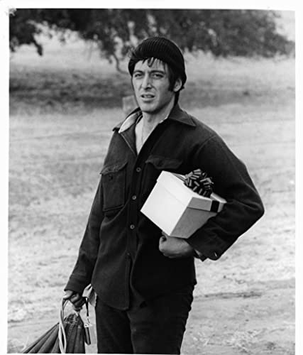 スケアクロウの画像