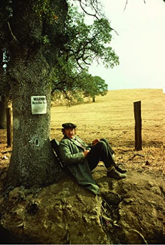 スケアクロウの画像