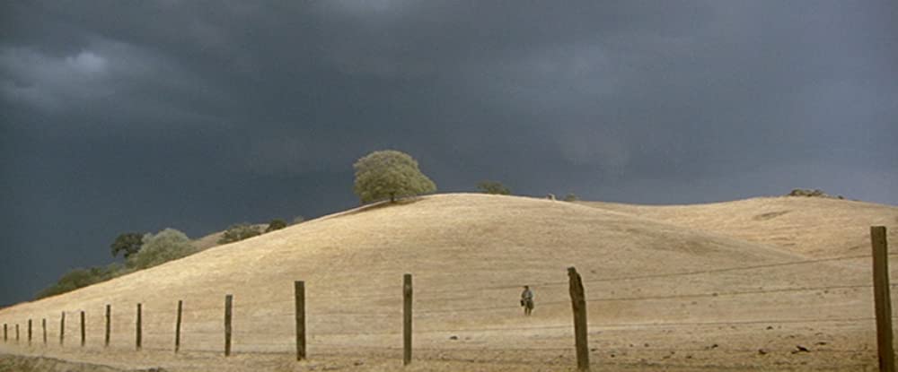 スケアクロウの画像