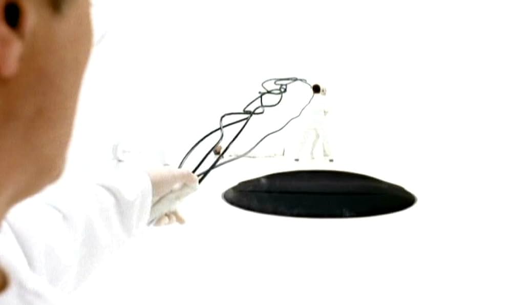 MR.STITCH／悪魔の種子の画像