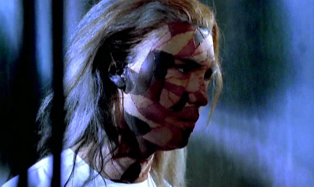 MR.STITCH／悪魔の種子の画像