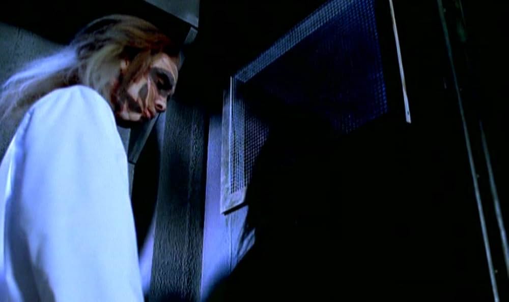 MR.STITCH／悪魔の種子の画像