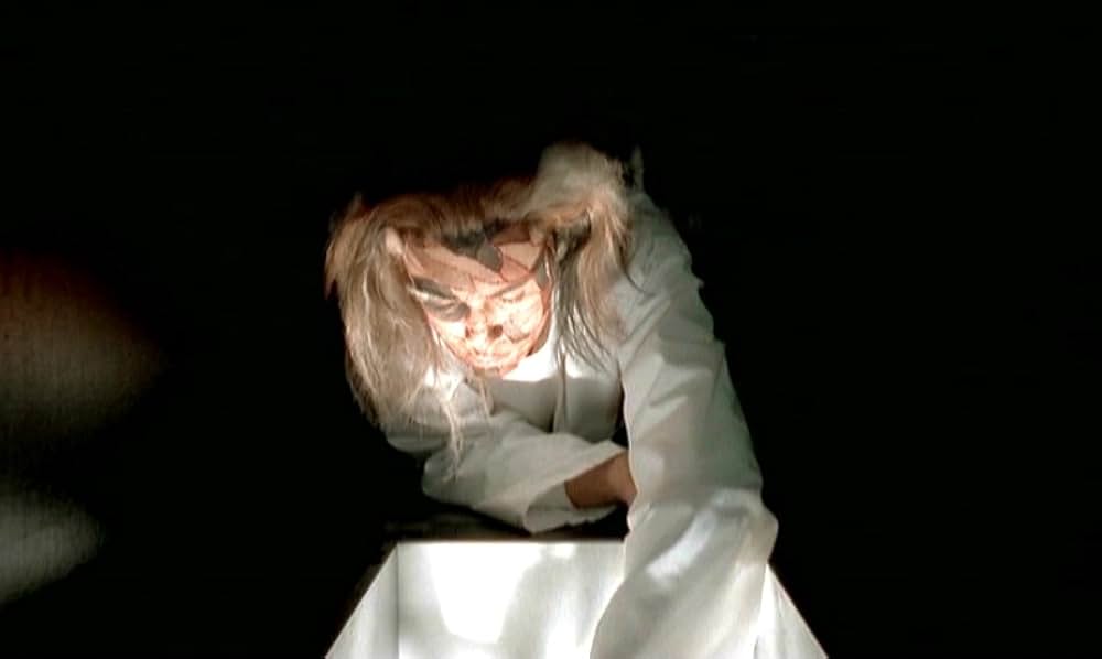 MR.STITCH／悪魔の種子の画像