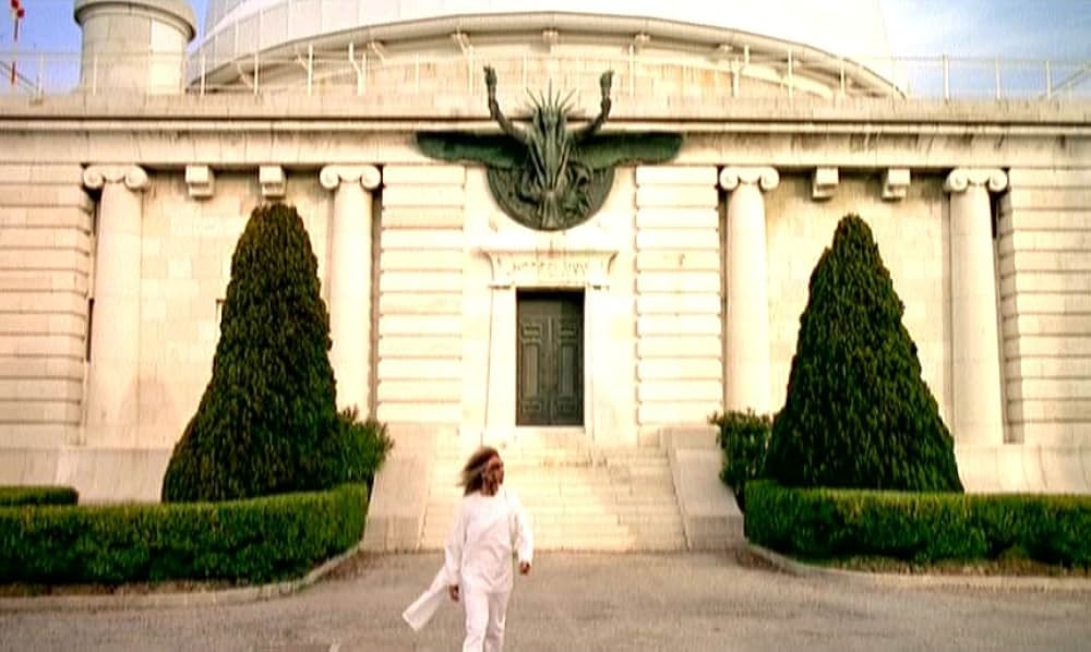 MR.STITCH／悪魔の種子の画像