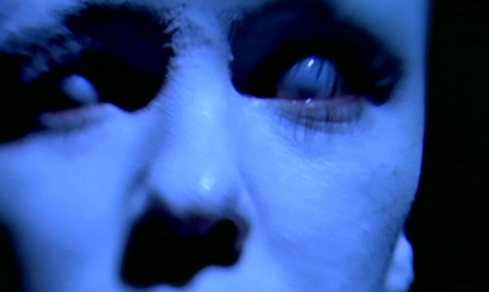 MR.STITCH／悪魔の種子の画像