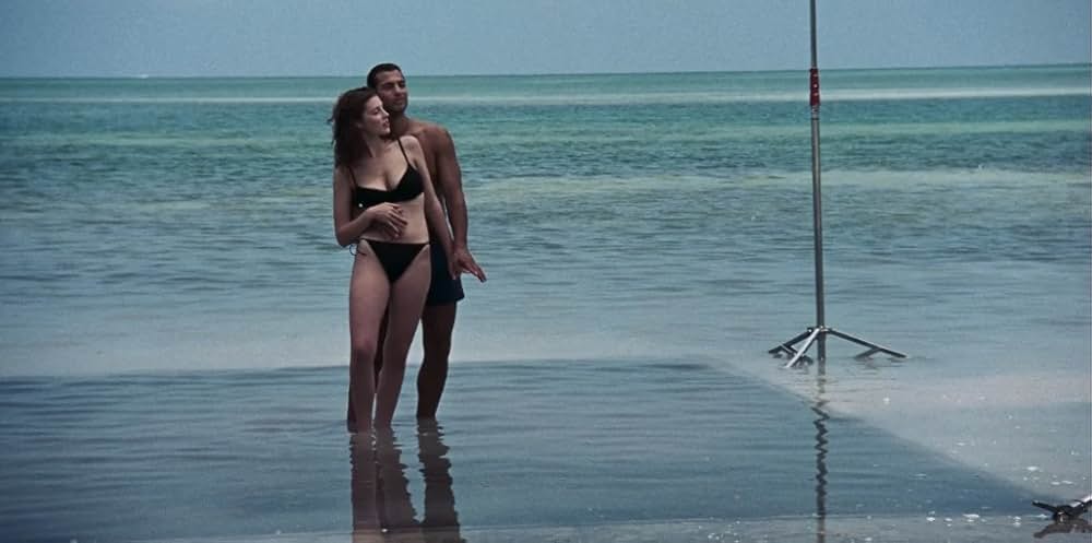 しあわせの選択の画像