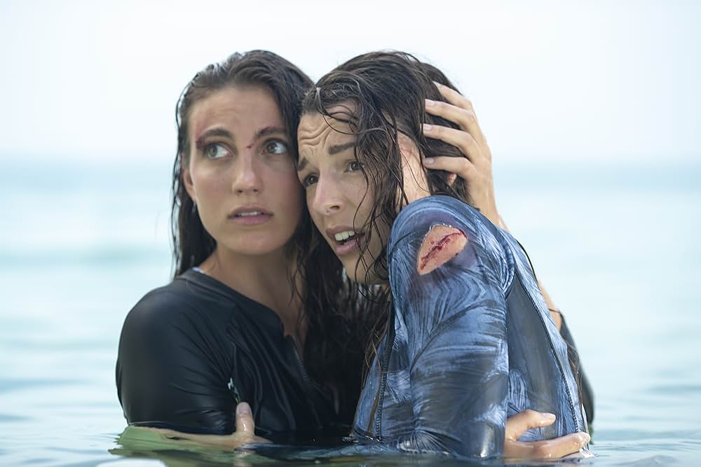 ホワイトシャークの画像