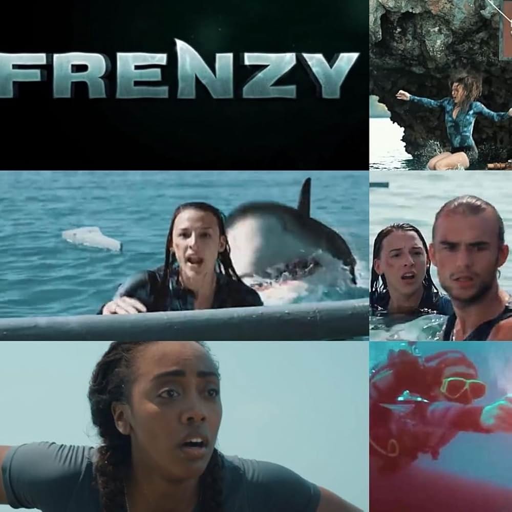 ホワイトシャークの画像