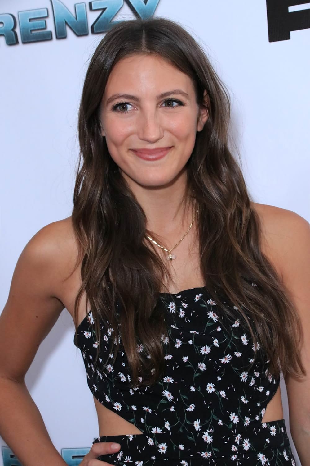 ホワイトシャークの画像