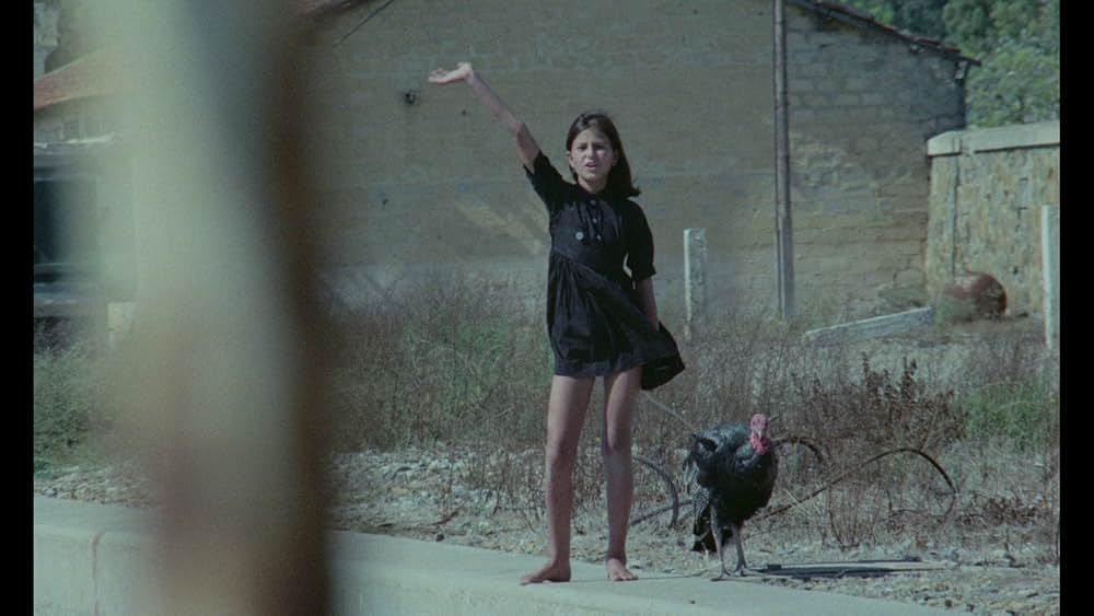 死よ、万歳の画像