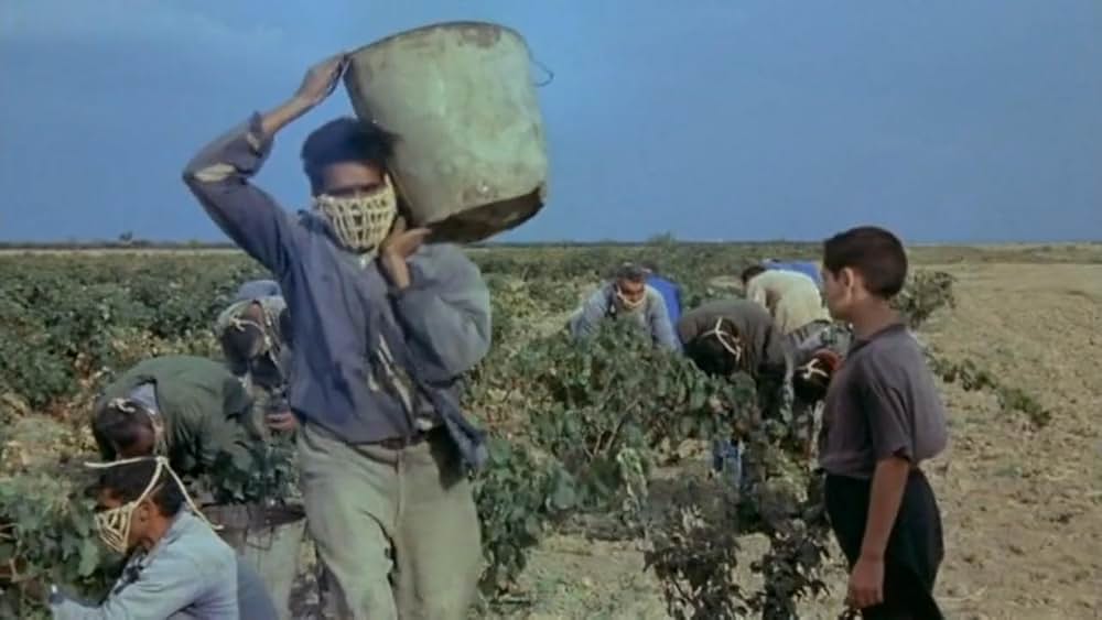 死よ、万歳の画像