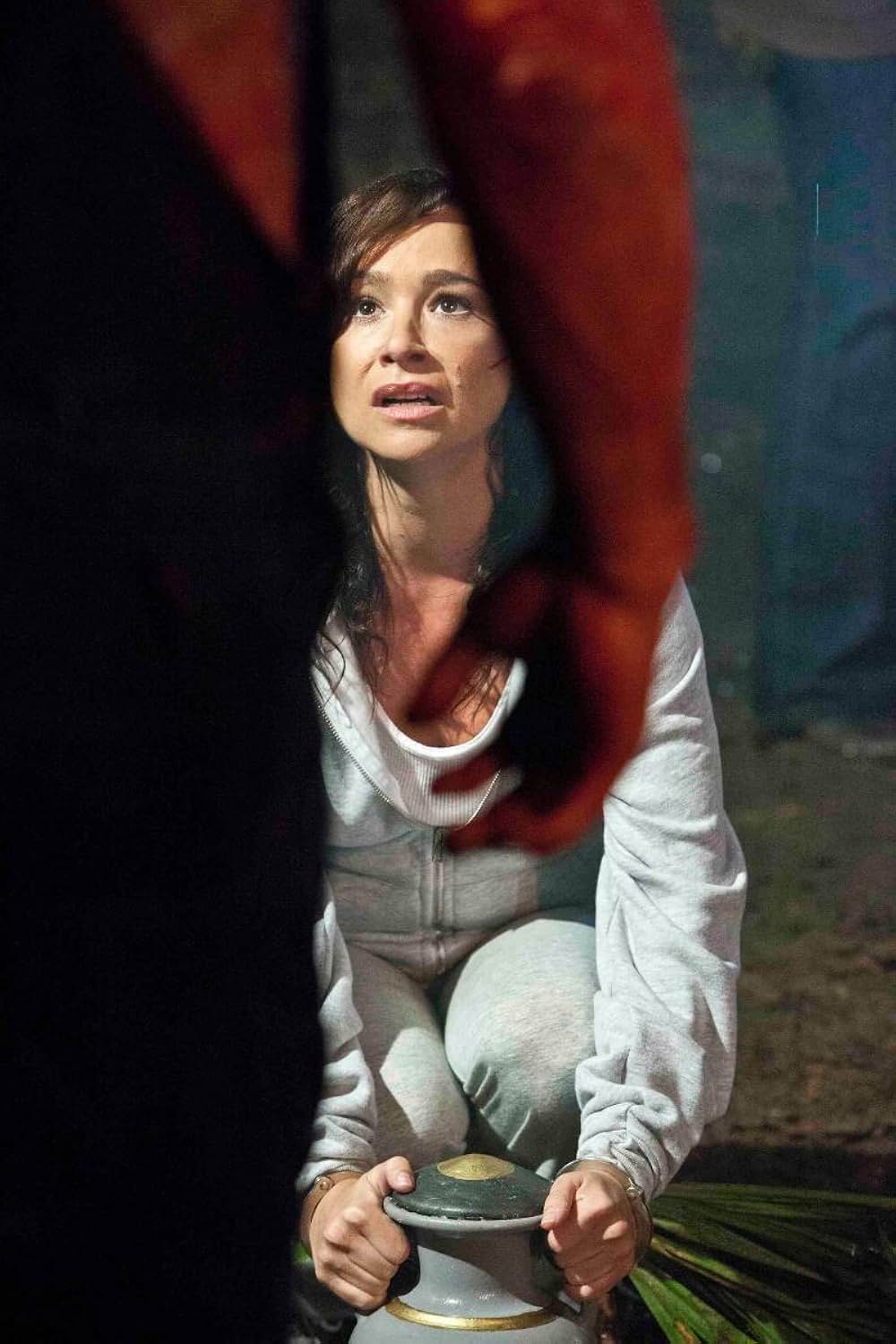 ハチェット レジェンド・ネバー・ダイの画像